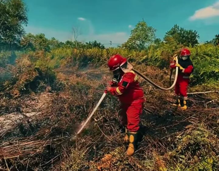 Atasi Karhutla dengan Operasi Modifikasi Cuaca, Kemenhut Butuh Koordinasi