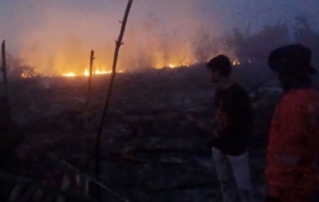 BPBD Kotim Tangani Dua Kebakaran Lahan di Sampit