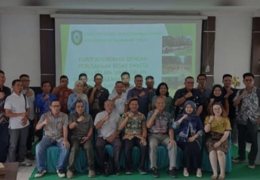 Perkebunan kelapa sawit