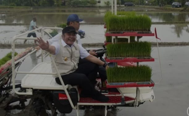 Antisipasi Munculnya El Nino Pertengahan 2026, Wamentan: Percepat Masa Tanam