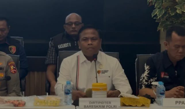 tambang timah