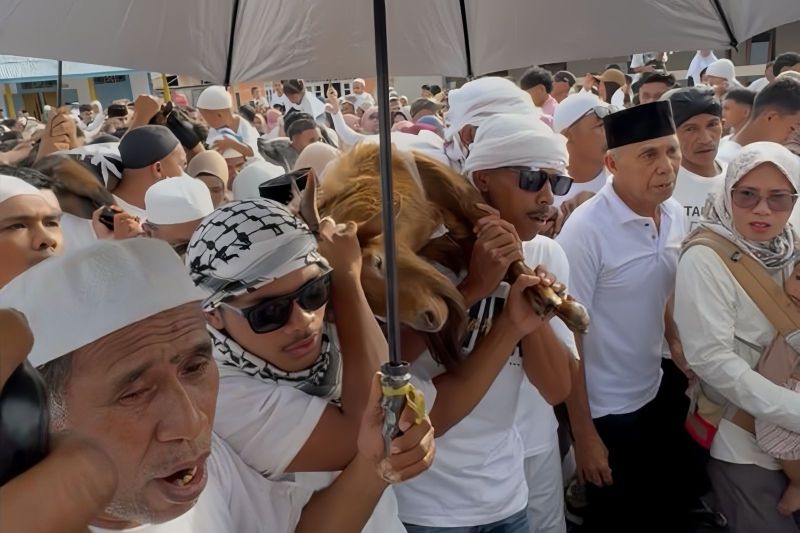 Lawa Pipi Maluku