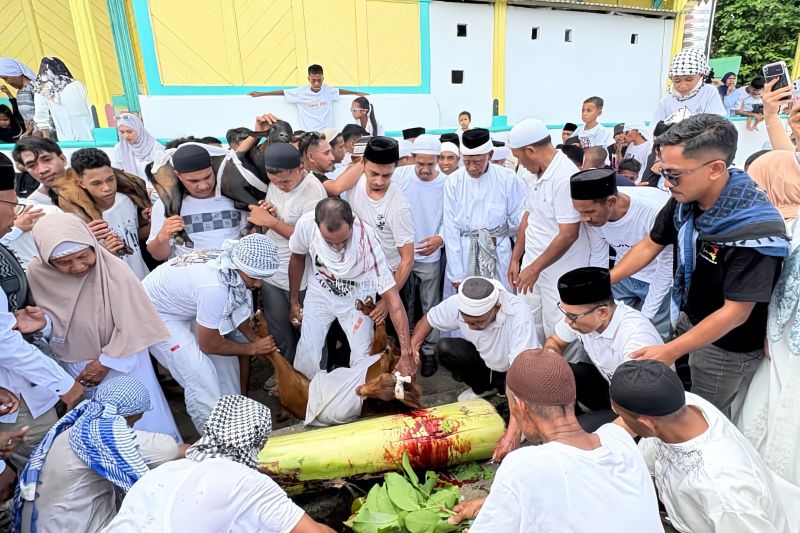 Lawa Pipi Maluku