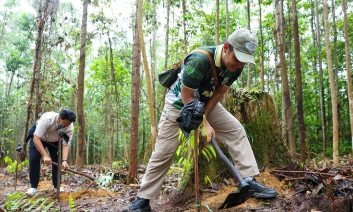 Jejak Hijau
