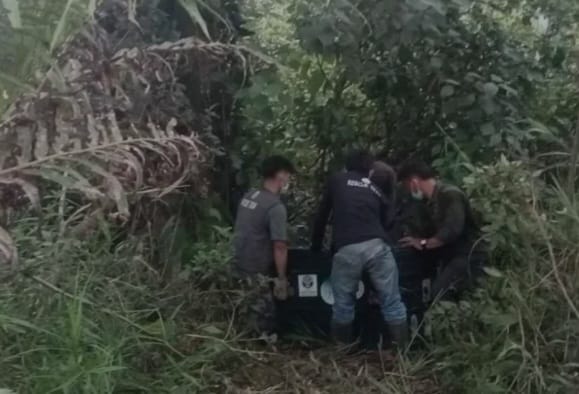 orang utan