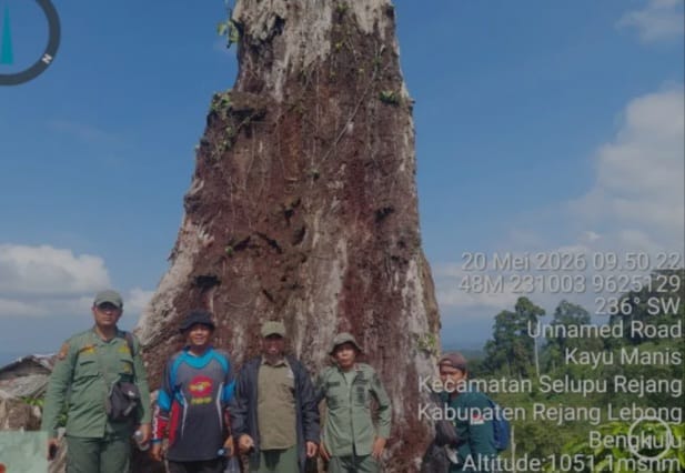 Kerusakan Hutan di Taman Nasional Kerinci Seblat Seksi VI Capai 10 Ribu Hektare