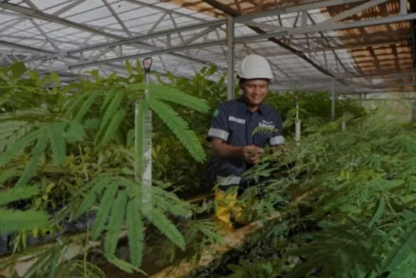MIND ID Mereklamasi 8.000 Hektare  Lahan Bekas Tambang
