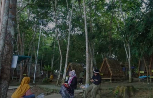 hutan