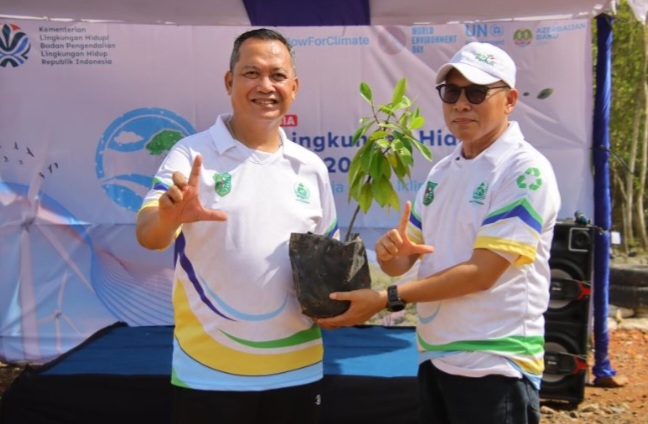 Tanam Mangrove