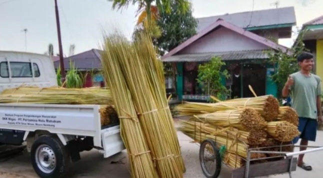 lidi nipah curah