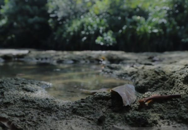 Geosite