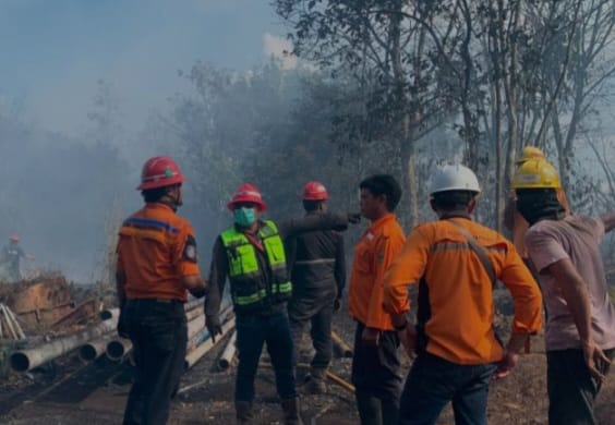 BNPB Sebut Tim Gabungan Kendalikan Karhutla di Kalsel dan Kaltim
