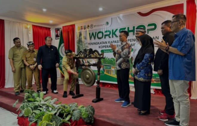 koperasi