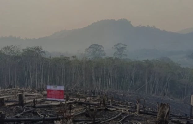perusahaan