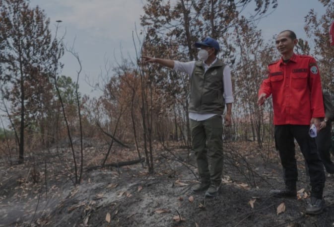 Karhutla Ancam Habitat Orangutan, Menhut: Kawal Area Ini