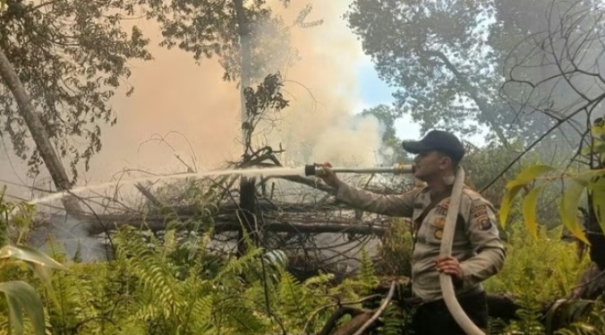 Api Gambut, Sawit dan Jalan Pintas: Satu Tersangka, Banyak Pertanyaan