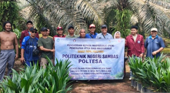 Petani Sawit