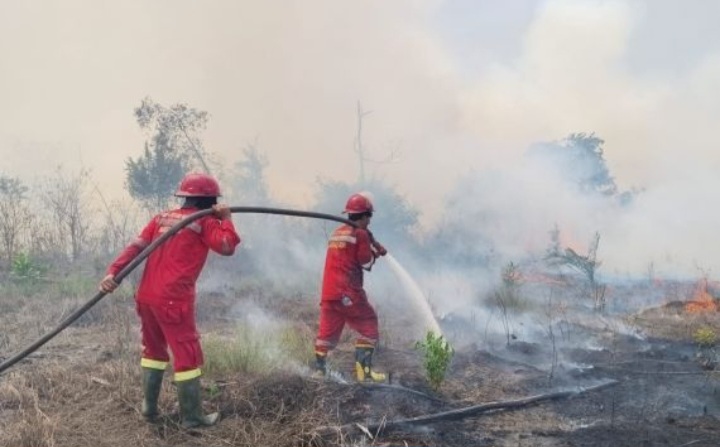 Refleksi Jurnalisme Bencana, Mitigasi Karhutla Kalimantan