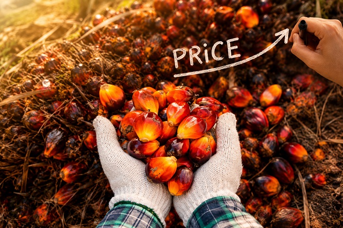 Harga Minyak Sawit di Bursa Komoditas Malaysia Naik RM4.896