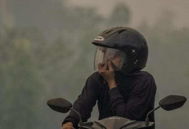 KLH Segel Tujuh Badan Usaha di Kalbar Terkait Karhutla