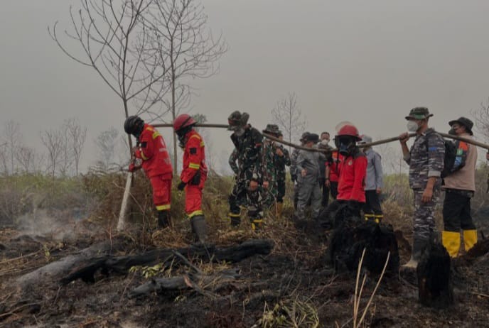Penanganan Karhutla di Kalbar Masuki Tahap Pendinginan, BPBD: Bukan Lagi Kebakaran