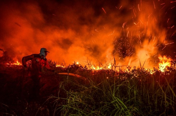 Petugas berjuang memadamkan api kebakaran hutan dan lahan.