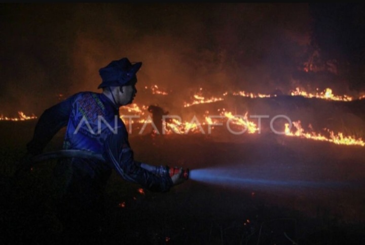 Menhut: Hotspot Naik, Kalbar dan Kalteng Prioritas Penanganan Karhutla