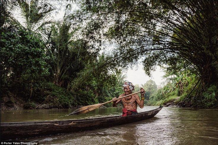 Masyarakat adat tinggal berdampingan dengan hutan.