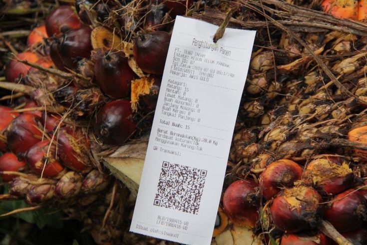 Ilustrasi barcode produk sawit.