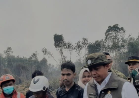 Polisi hutan
