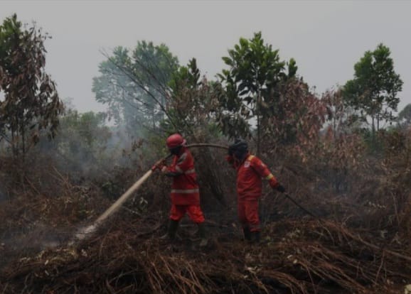 Kerusakan hutan