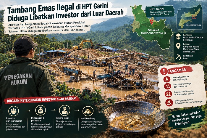 Tambang Emas Ilegal