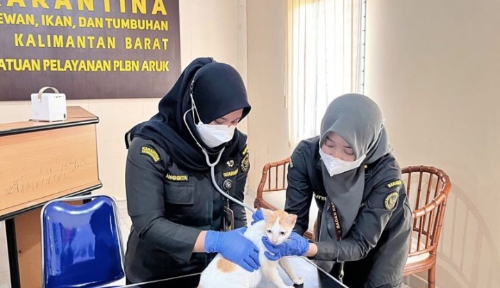 Virus rabies